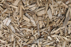 biomass boilers Trefeitha